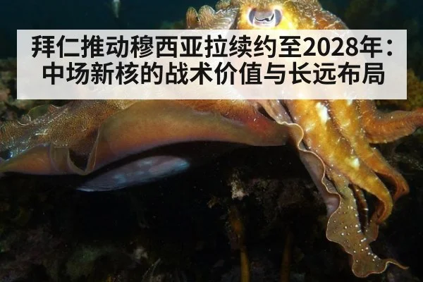 拜仁推动穆西亚拉续约至2028年：中场新核的战术价值与长远布局