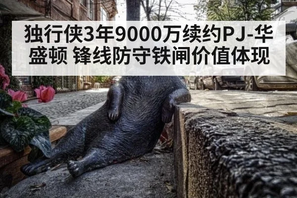 独行侠3年9000万续约PJ-华盛顿 锋线防守铁闸价值体现