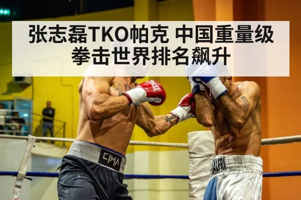 张志磊TKO帕克 中国重量级拳击世界排名飙升